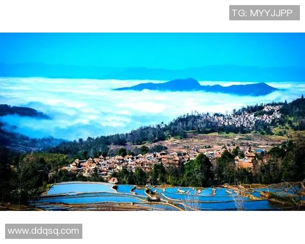 探索阿拉巴的文化魅力与自然风光,感受独特的历史与现代交融之美 探索阿拉巴的文化魅力与自然风光,感受独特的历史与现代交融之美