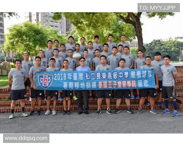 运动员体育津贴标准表解读与实施细则的全面分析与探讨